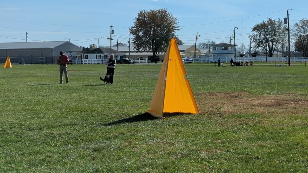 Mana von Mack-Zwinger           2023 National Championship C 87