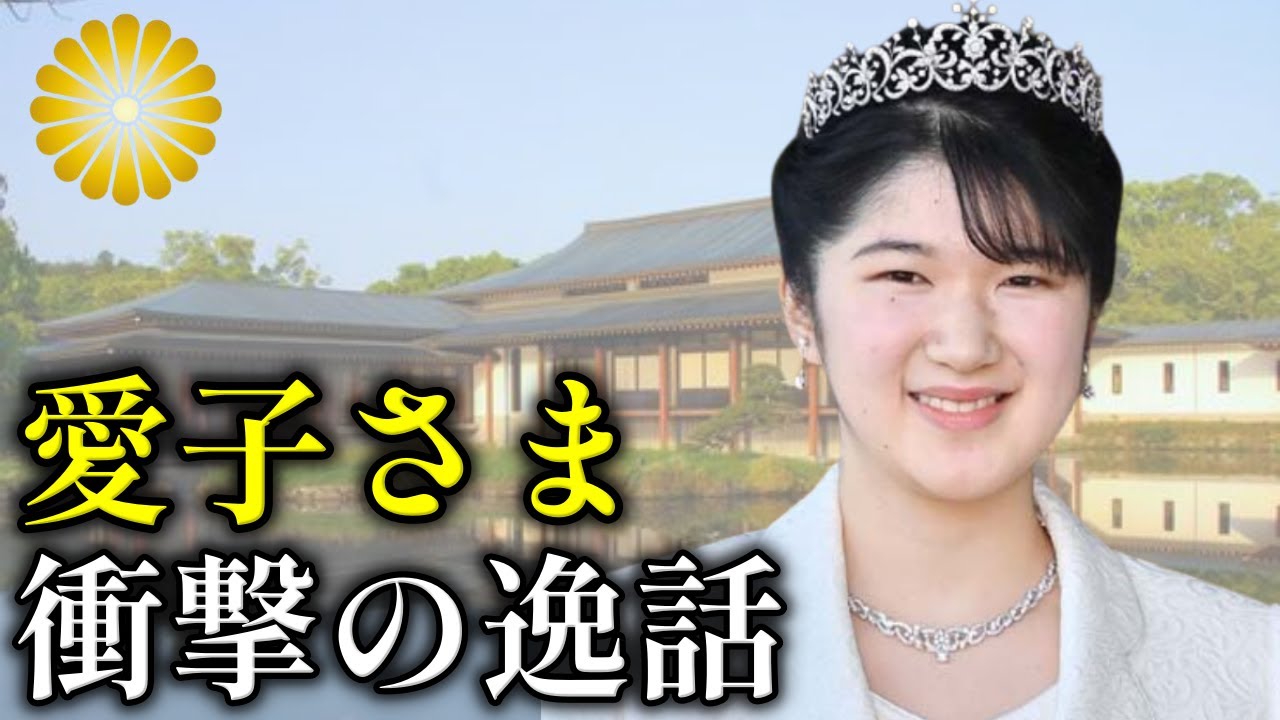 Aiko様専用 aiko様専用 Aikoさま専用 アイコ様専用 あいこ様 専用ページ