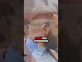 Смех сквозь строй! 😂 Разоблачение строительных шуток и намеков!