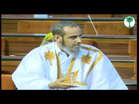 النائب حمادي ولد سيد المختار