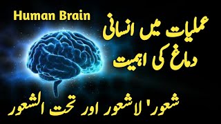 Amliyat main Insani Demagh ki Ahmiyat screenshot 1