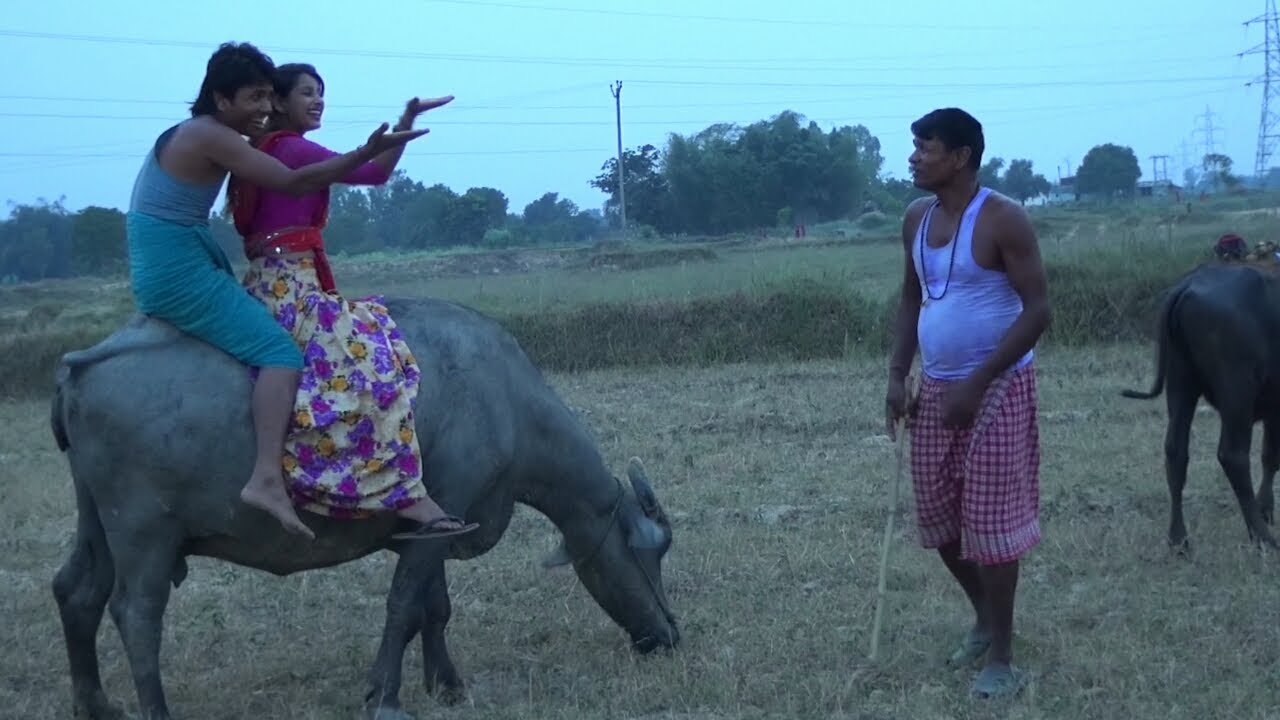 छौड़ी के मारलक मजा भैंस  प चढ़ा क | maithili comedy | 