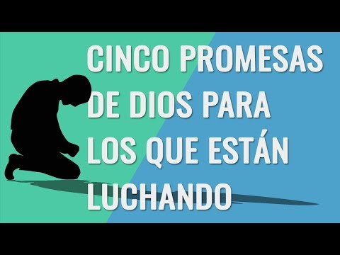 CINCO PROMESAS DE DIOS PARA LOS QUE ESTÁN LUCHANDO
