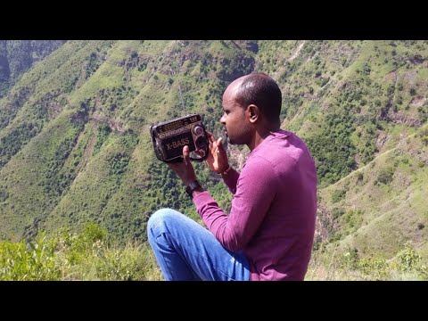 Tufaa Wadaajoo Furmaatan Dhabe Yaadannoo Yeroo Shakkallaa Yaadaloof Waloo 2024 