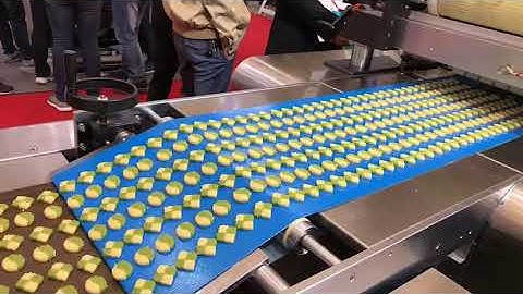 SINOBAKE Two Color Wire-Cut Cookies Machine