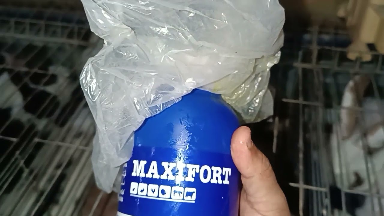 جميع الادويه التي تخص الارانب وضروري في المرنبه تفرج واستفز في الفيديو رقم5