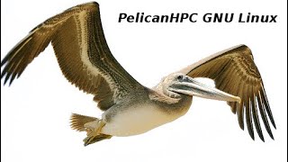 Como hacer un cluster con PelicanHPC
