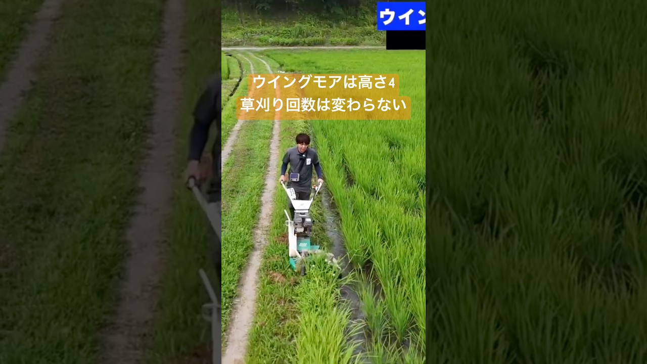 ウイングモアで草刈り散歩 #草刈り #ウイングモア #高刈り #オーレック