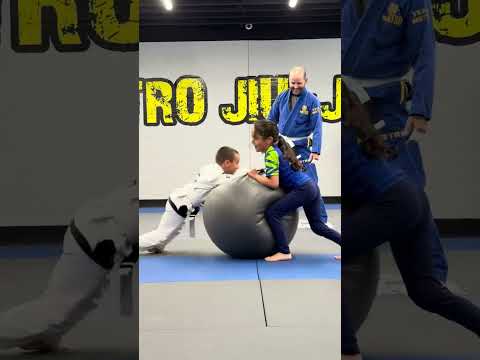 Inside the dojo