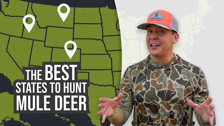 The Best States To Hunt Mule Deer!