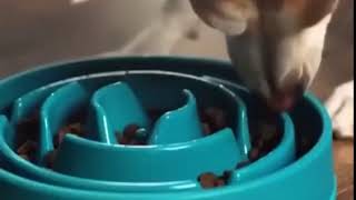 Почти сработало