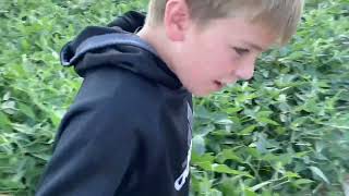 The corn field killer |Teaser trailer