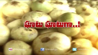 Harvesting Onion Plants || Onion Cultivation || Eruvaka | 99tv