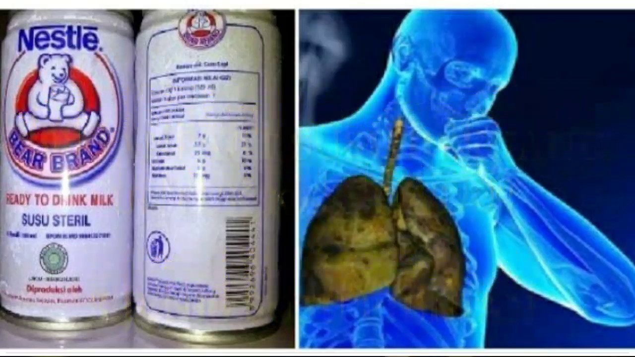 20 khasiat manfaat susu beruang untuk kesehatan ,dan 3 jenis susu