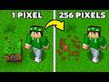 OGNI BLOCCO CHE SPACCO = PERDO PIXEL su MINECRAFT!