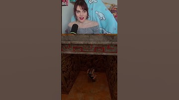 Not all sound alerts are what they seem🤣 #Twitch #fyp #tombraider #streamer