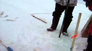 Manipogo 2011 Video 17