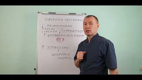ПАЛЬМА СЕРЕНОА - РАСТЕНИЕ ДЛЯ МУЖЧИН ПРИ АДЕНОМЕ ПРЕДСТАТЕЛЬНОЙ ЖЕЛЕЗЫ
