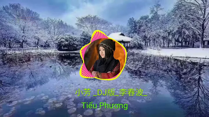 小芳 _DJ版_  ( Tiểu Phương )#李春波#抖音最好听的歌曲 - 天天要闻