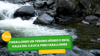 Farallones un tesoro Hídricos en el Valle del cauca PNN  TvAgro por Juan Gonzalo Angel Restrepo