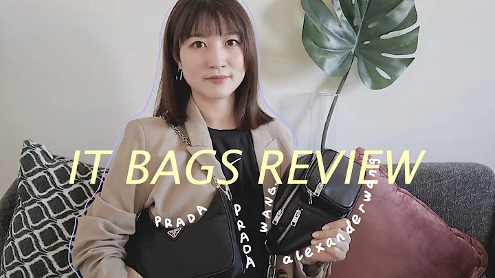 it Prada 31  Prada HOBO Combo & Alexander Wang Att...