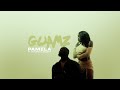 Gwamz  pamela feat tay iwar  skeete visualiser