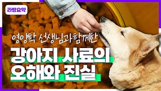 강아지 사료의 오해와 진실, 이 사료 먹여도 될까요? (feat. 로얄케닌 곽영화 선생님)