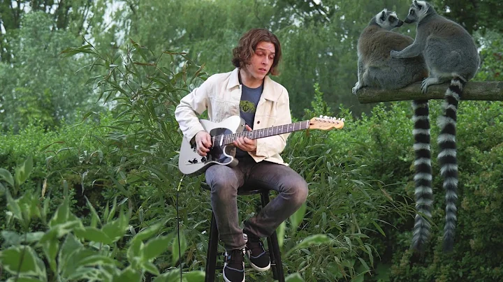How To Play Guitar For Lemurs! Daniel Donato - Cosmic Country