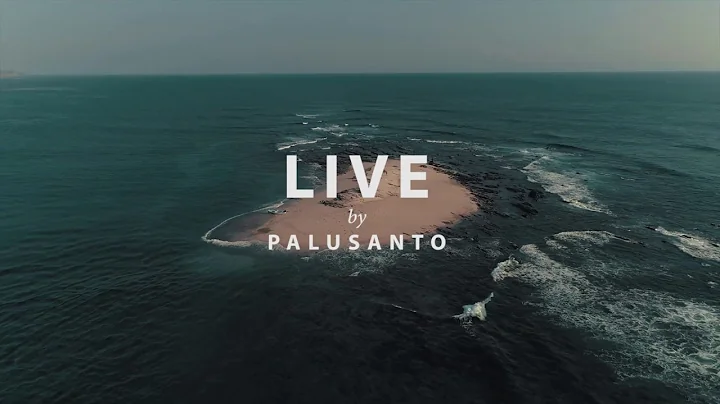 Live - Palusanto! New age electronic fussion