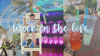 Week In My Life (Spring Break Edition)