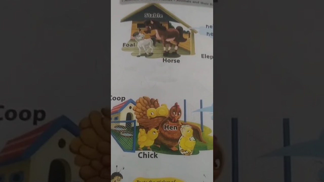 #soundofanimals#trending#reel#viral#kindergarten#classfirst#classsecond#classthird#generalknowledge 