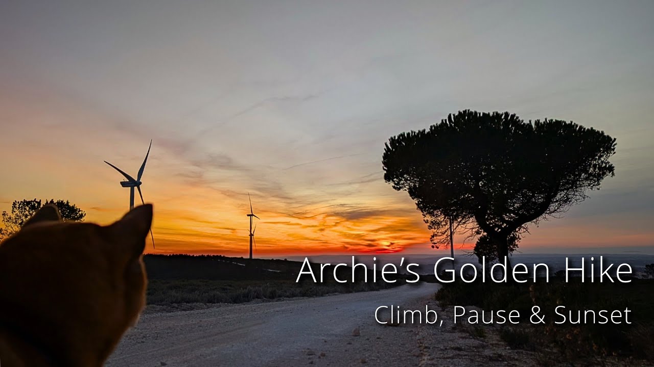 Sunset Trails with Archie — Stones, Glow & Horizon | Chãos, Portugal