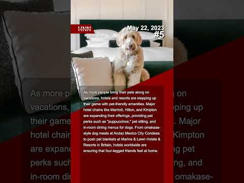 Видео: Собственикът на куче получава най-голямото споразумение в историята на САЩ за смъртта на домашен любимец