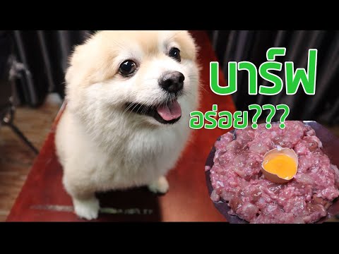 วีดีโอ: BARF อาหารสุนัข - กระดูกในอาหารอาหารดิบสำหรับสุนัข