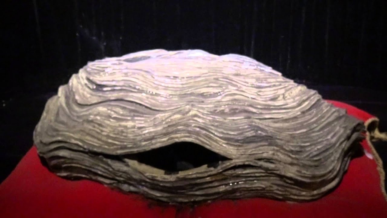 Whistling Oyster Guinness Storehouse 2 YouTube