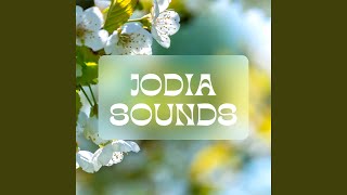 Miniatura del video "Jodia sounds - أغنية ساحرة تزيل التعب وتساعد على التخلص من التعب"