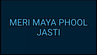 Meri Maya Phool Jasti Karaoke