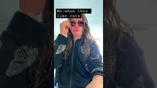 No Copyright To Valerie I Love Cats So Much