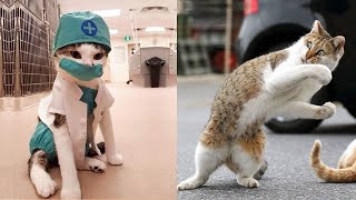 Try Not To Laugh While Watching Funny Animals Compilation (2021) #23