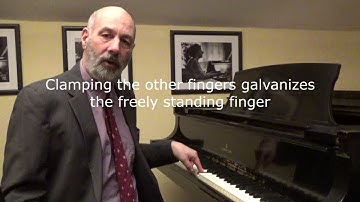 Pianimals Pointers Tutorial 5: Poking