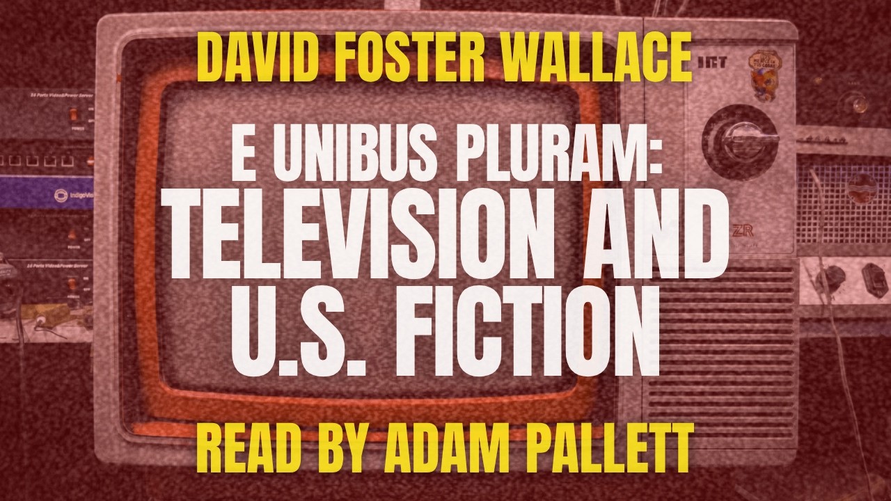 E Unibus Pluram: Television and U.S. Fiction by David Foster Wallace