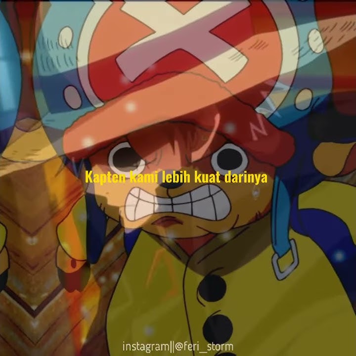 STORY WA 30 DETIK || KEPERCAYAAN KRU KEPADA LUFY