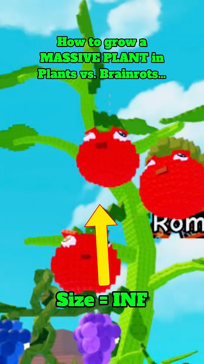 How to grow a MASSIVE PLANT in Plants vs. Brainrots… #roblox #plantsvsbrainrots #viral #subscribe