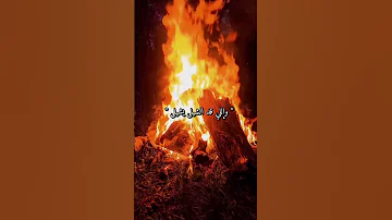 حطيتو فينا قسوة وإحنا أحن خلق الله Foryou Viral Funny Fy Viralvideo 