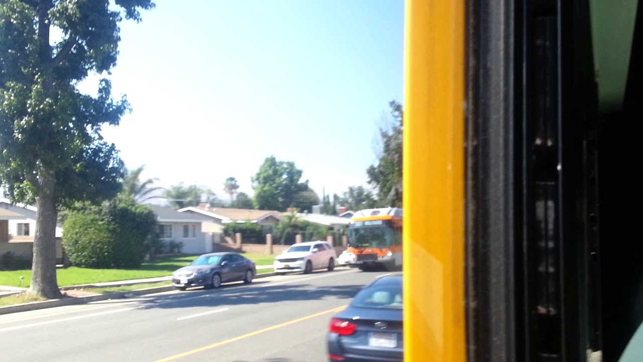 Metro Local Bus La 237 YouTube