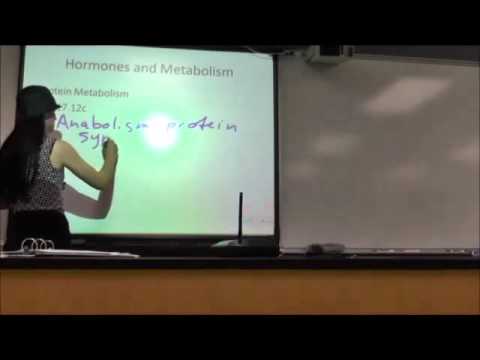 Endocrine System Part 5 - YouTube