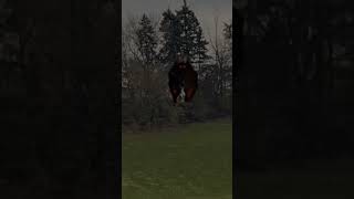 Mothman Sighting At Cedarvale #cryptid