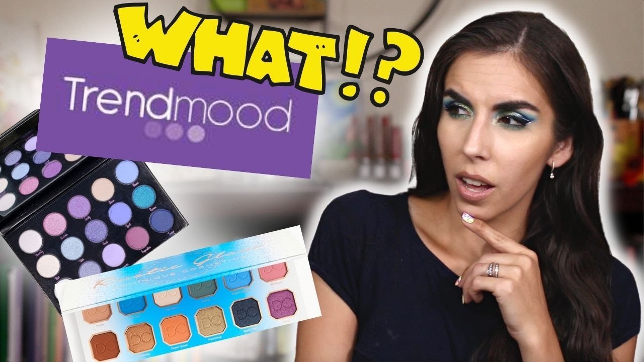 TRENDMOOD1 HAD A COLLAB PALETTE?? | How Did I Forget About This Palette?!