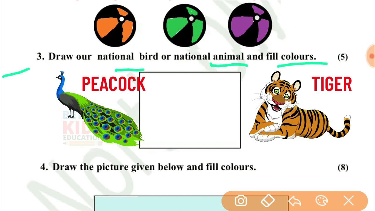 NDMC Class 4 Art and Craft SA 1 Question Paper Solution (4/10/21) YouTube