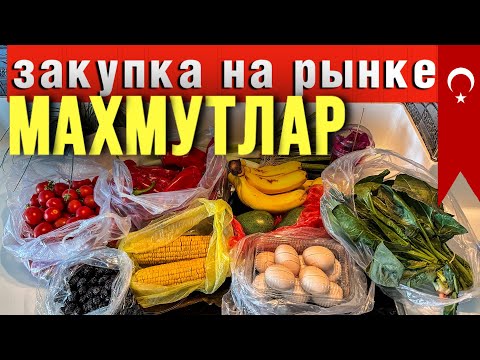ЧТО Я КУПИЛА